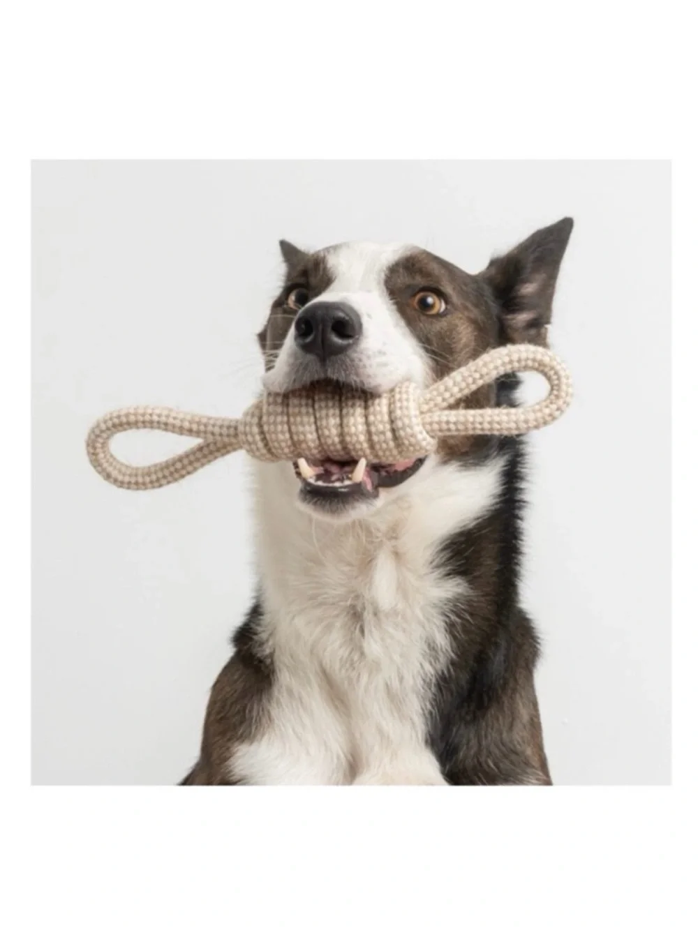 🆕 Dog Chew and Tug Knotted Natural Rope/Jute Bow Toy